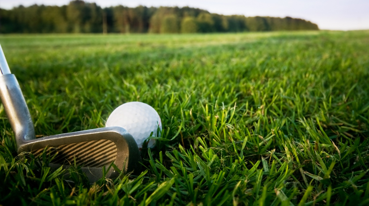 Golfschläger