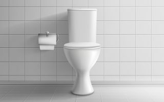 WC Aufstehhilfe